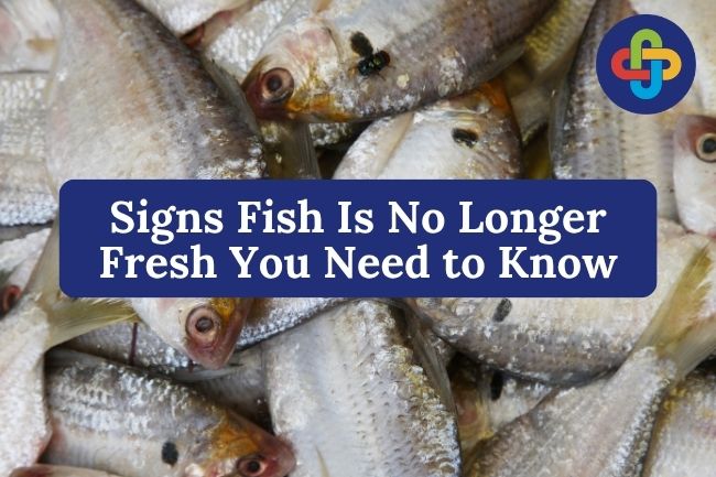  7 Signs Fish Is No Longer Fresh You Need to Know